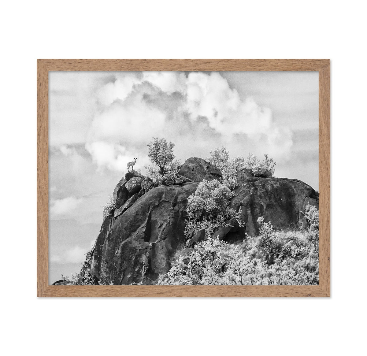 Klipspringer Summit