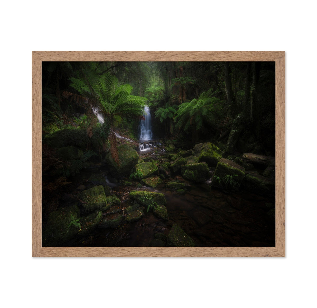 Hidden Forest Falls