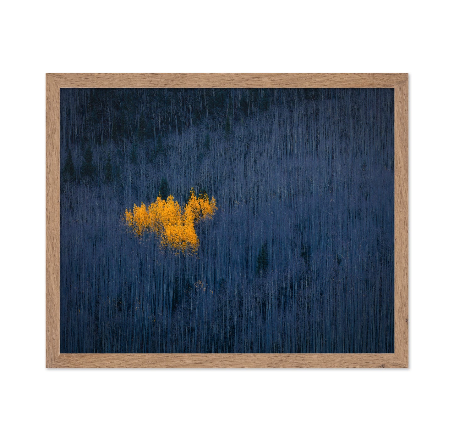 Golden Aspen Heart
