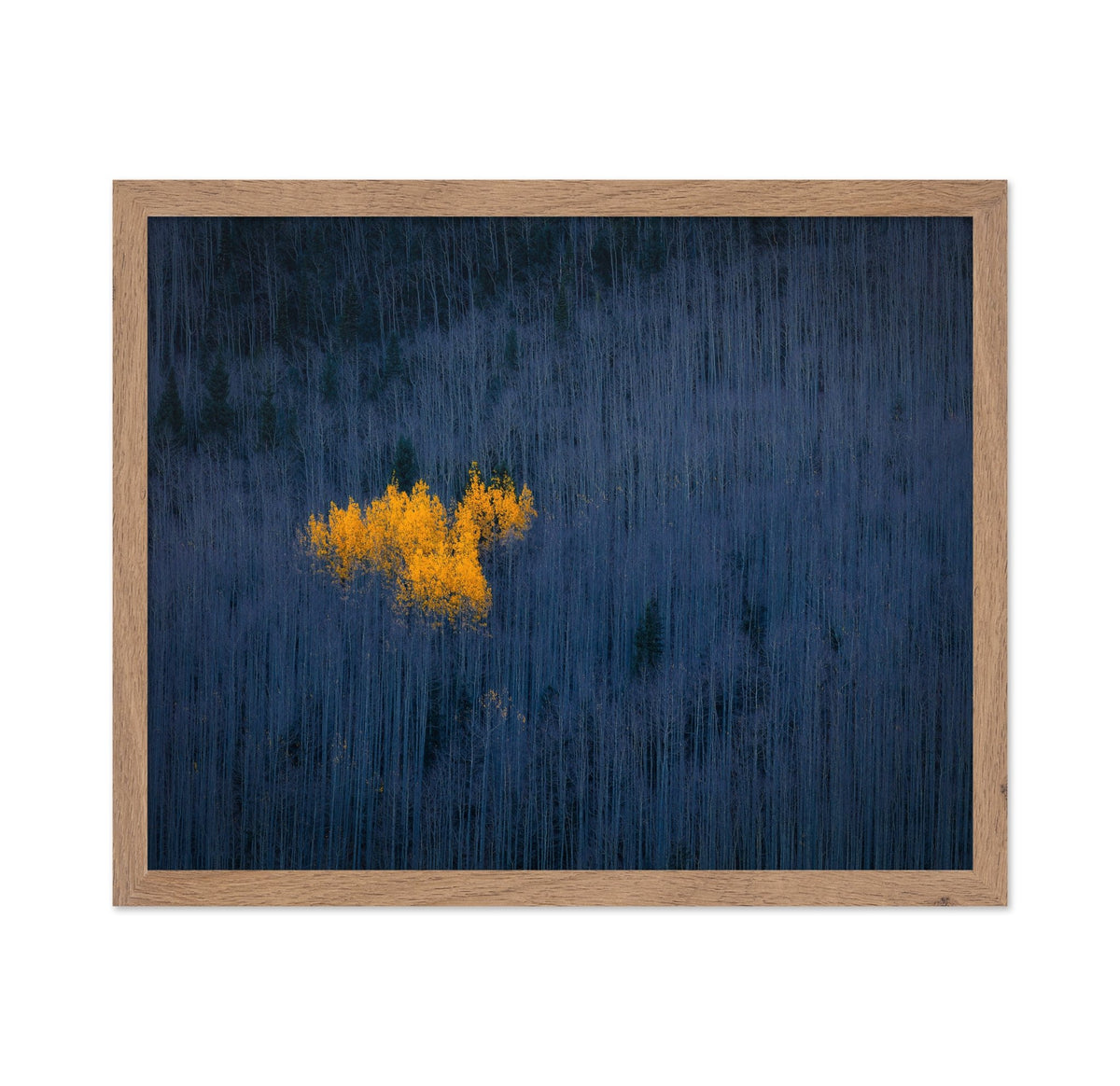 Golden Aspen Heart
