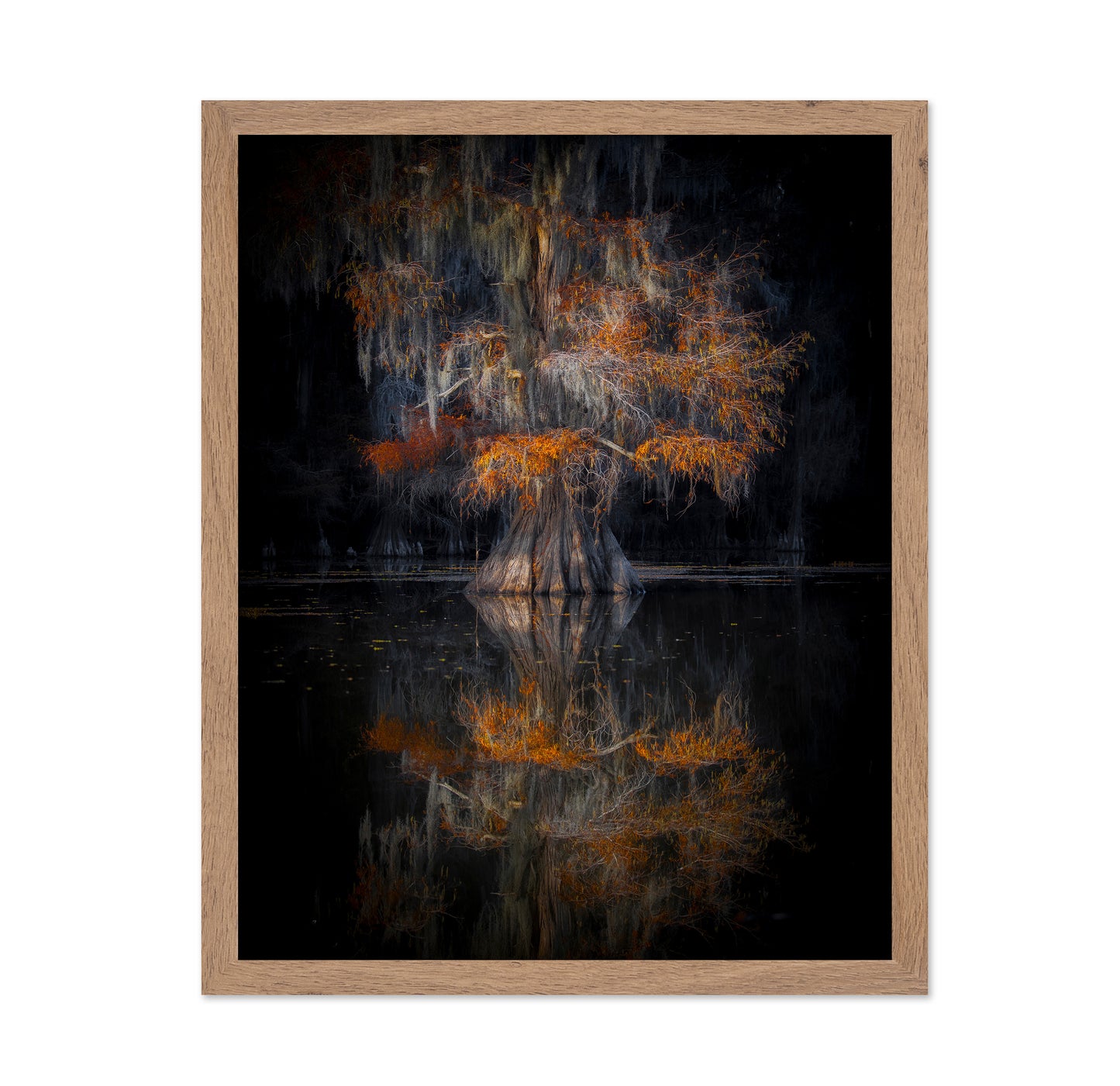 Cypress Reflection Glow