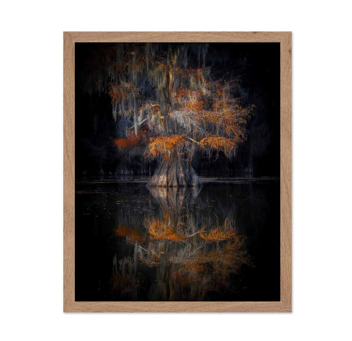 Cypress Reflection Glow