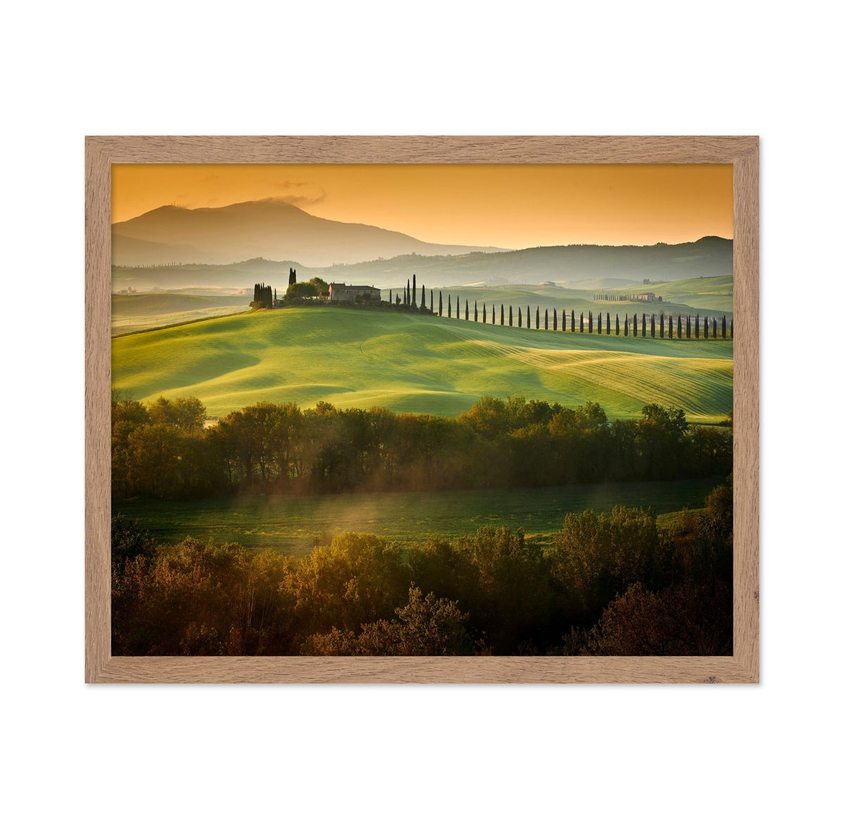 Tuscany Spring Landscape