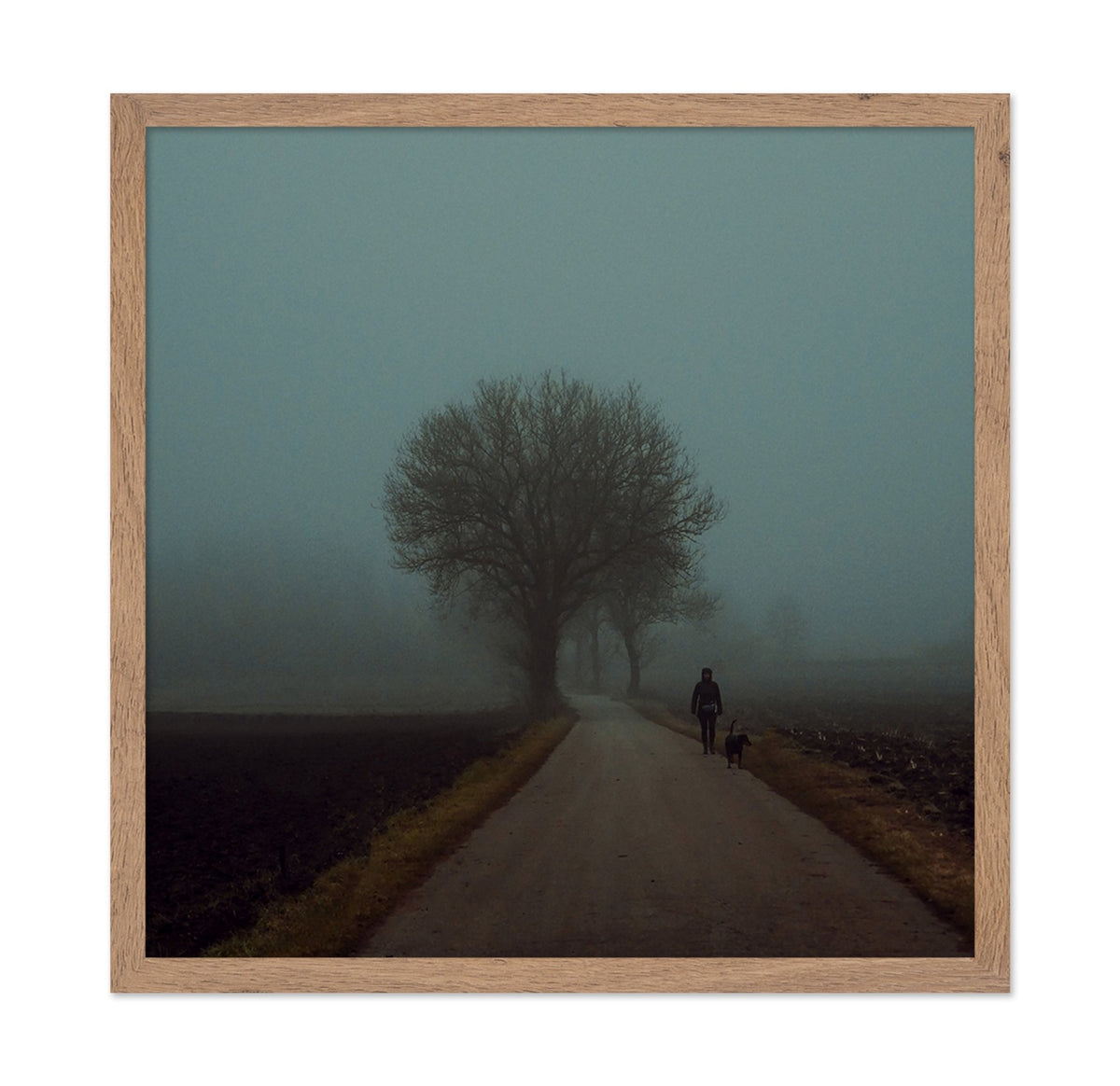 Foggy Morning Walk