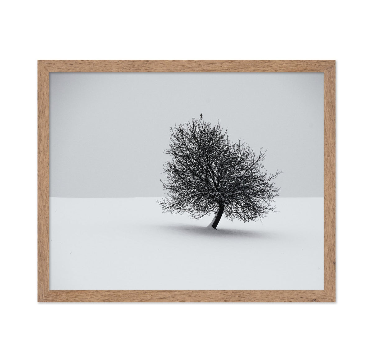 Minimal Winter Tree