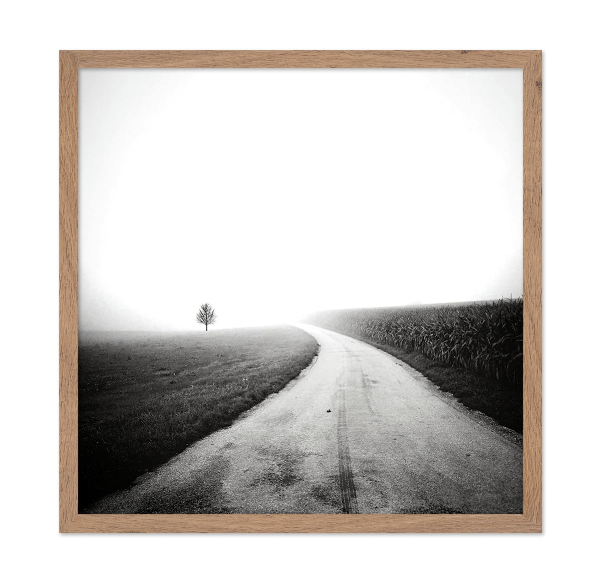 Minimal Foggy Road