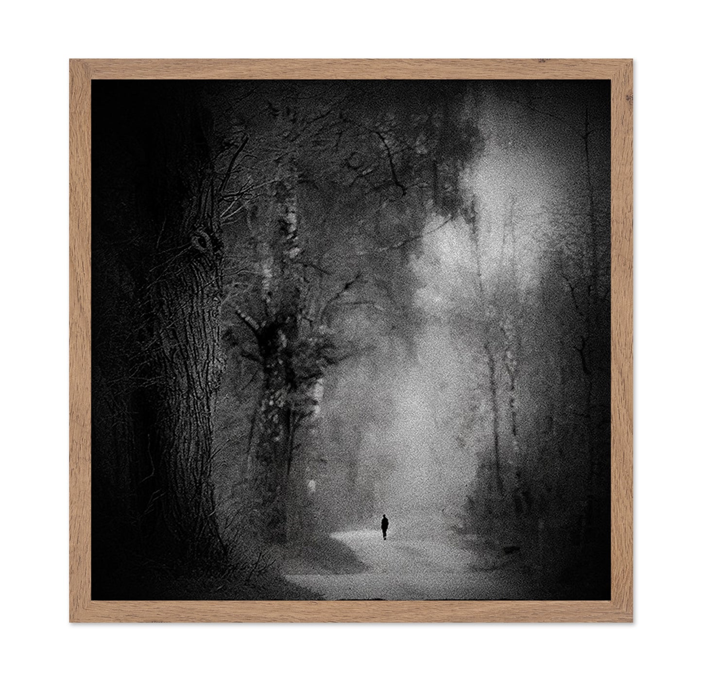 Lonely Forest Walk