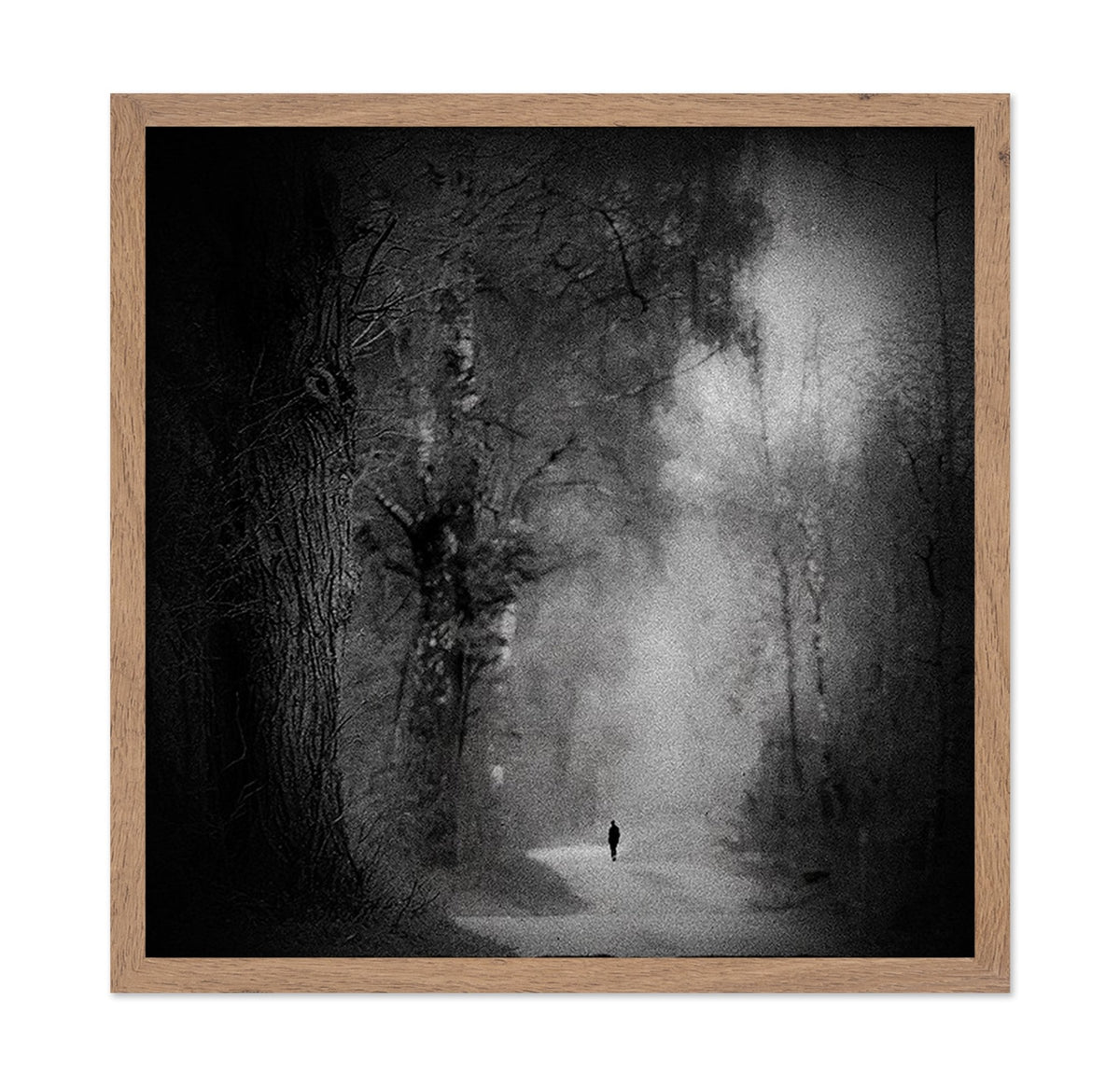 Lonely Forest Walk