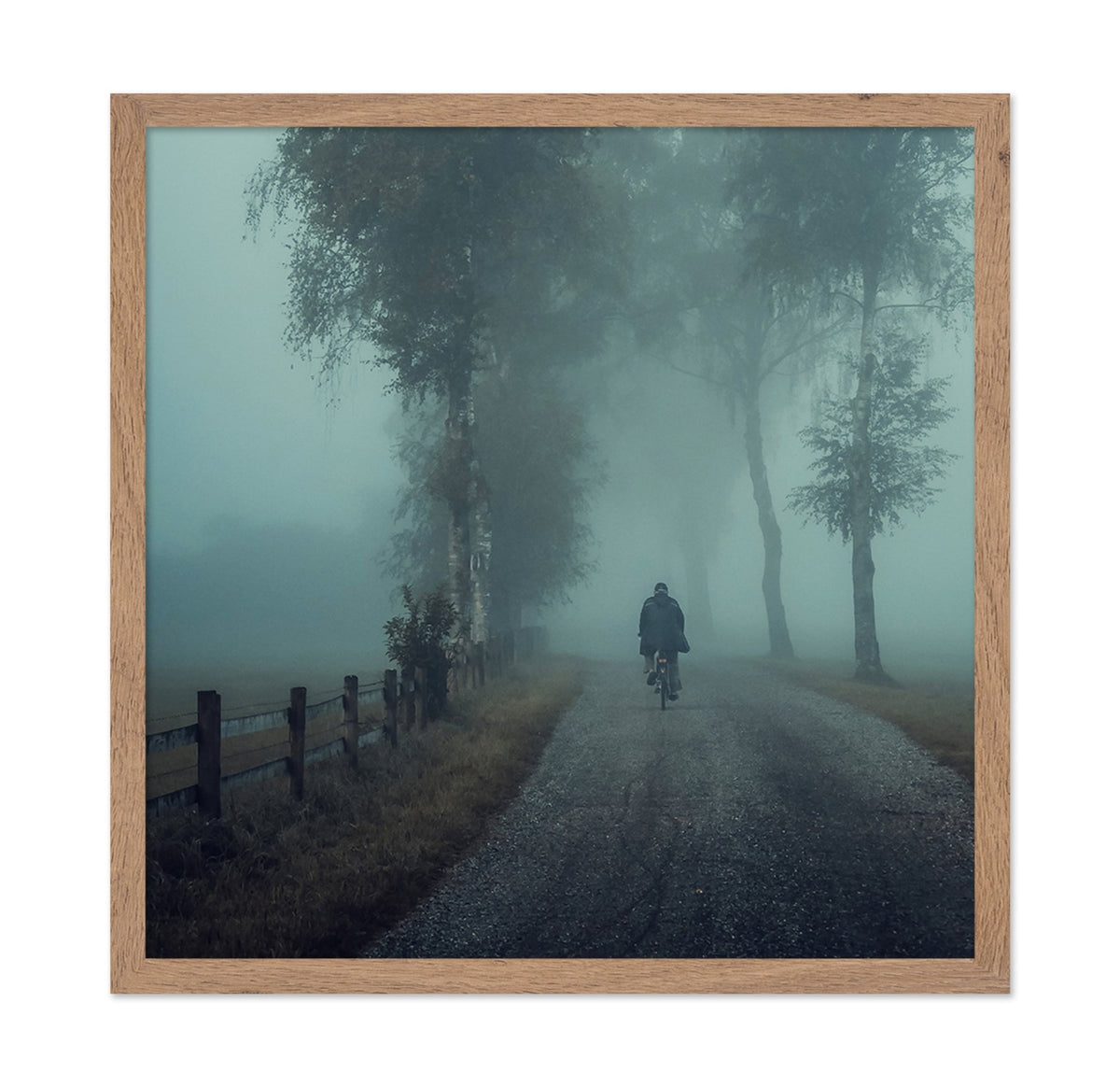 Foggy Ride Through Trees