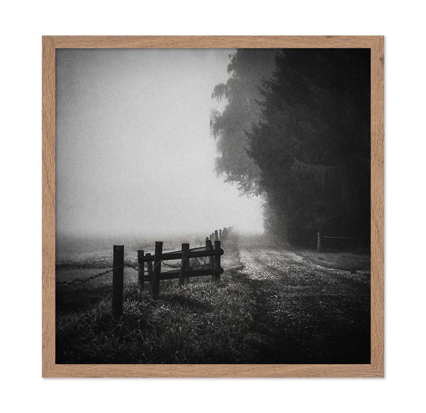 Foggy Lost Path