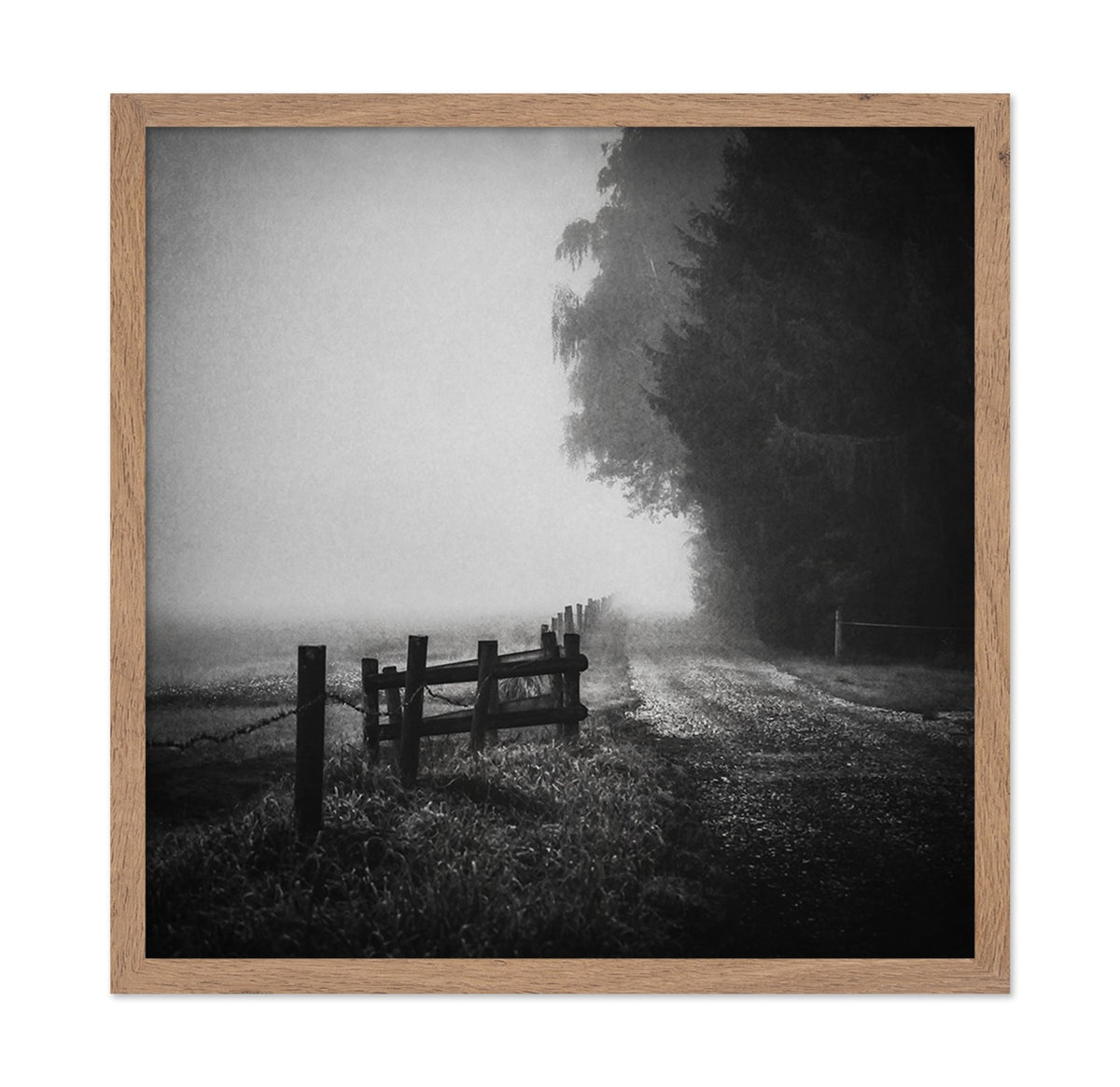 Foggy Lost Path