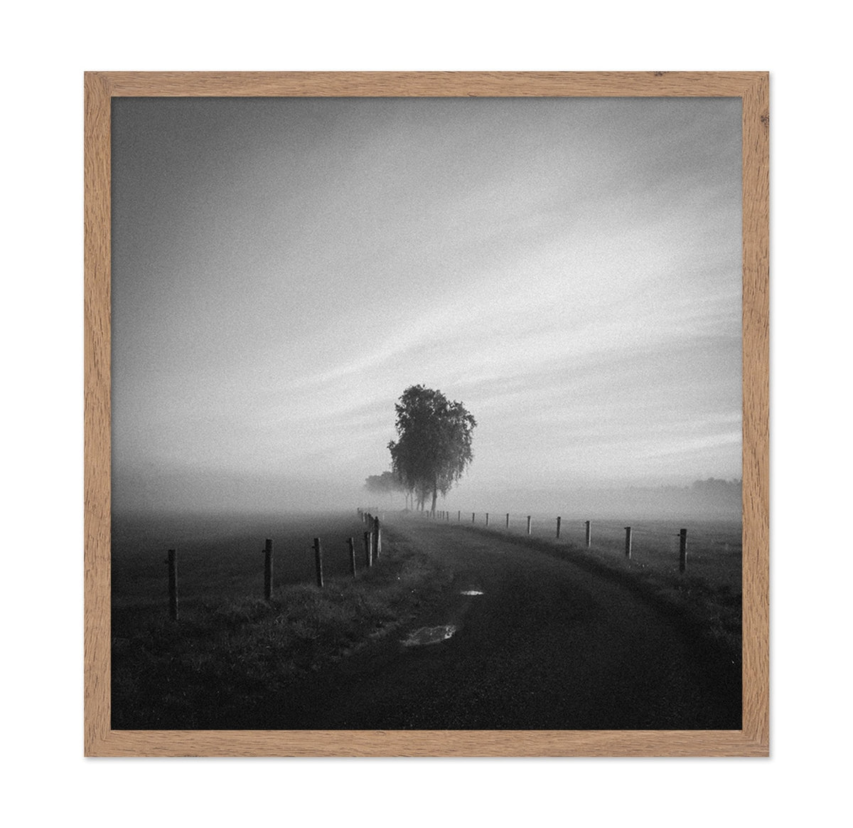 Path to the Lone Tree