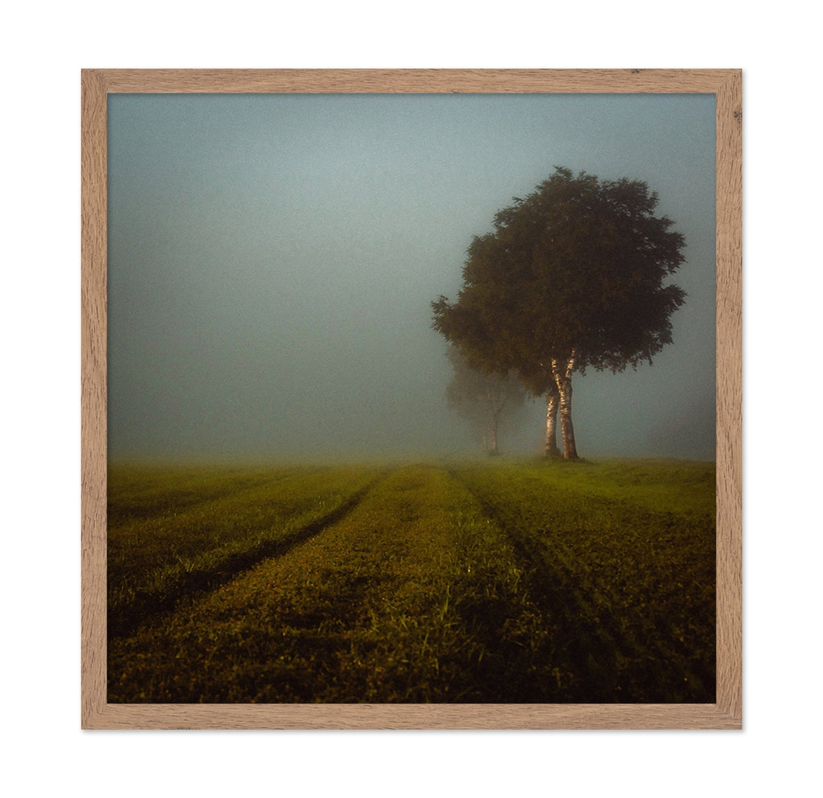 Misty Autumn Field