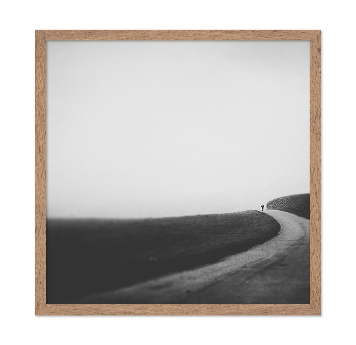 Lone Walk in September
