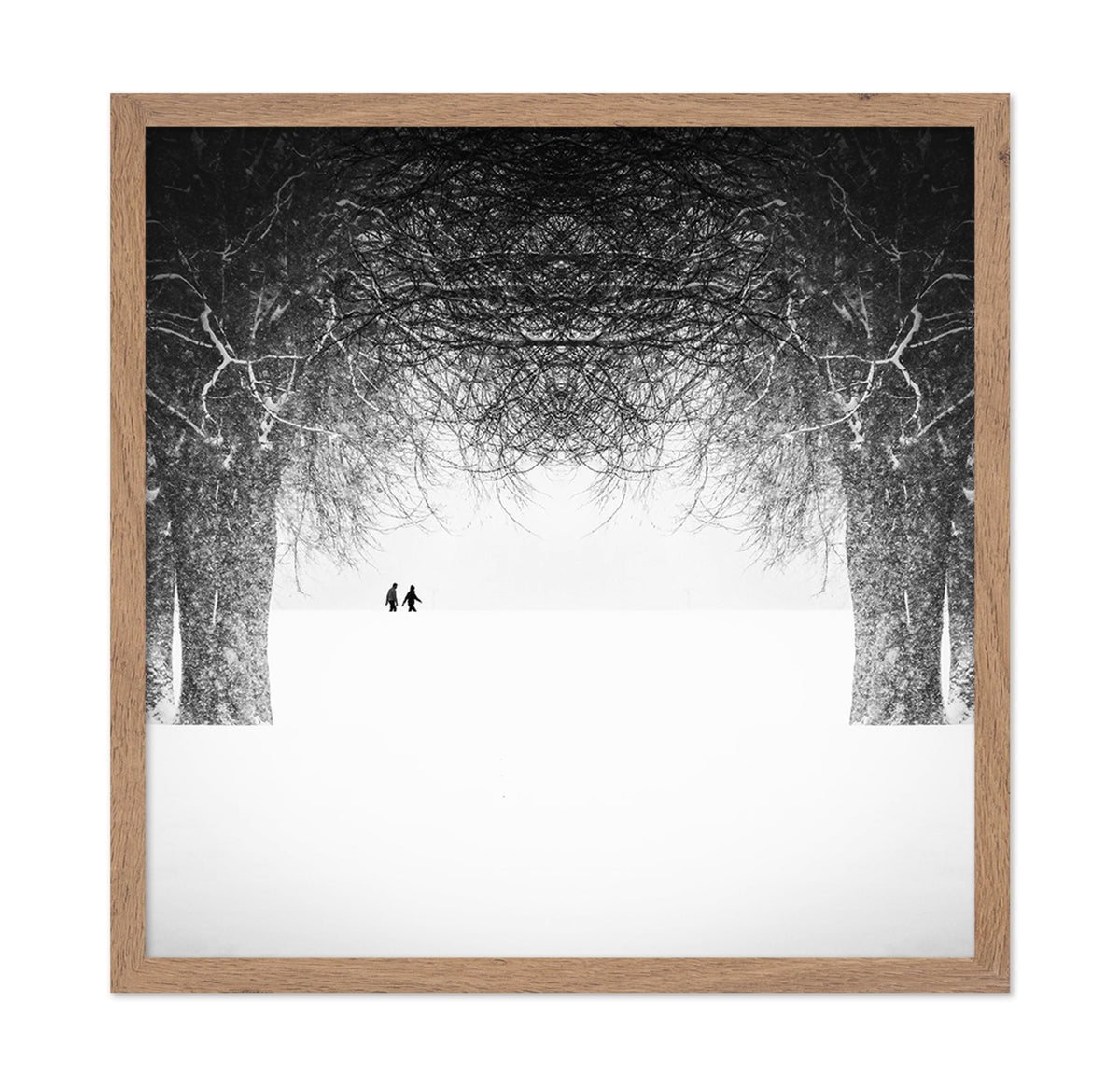 Winter Symmetry Walk