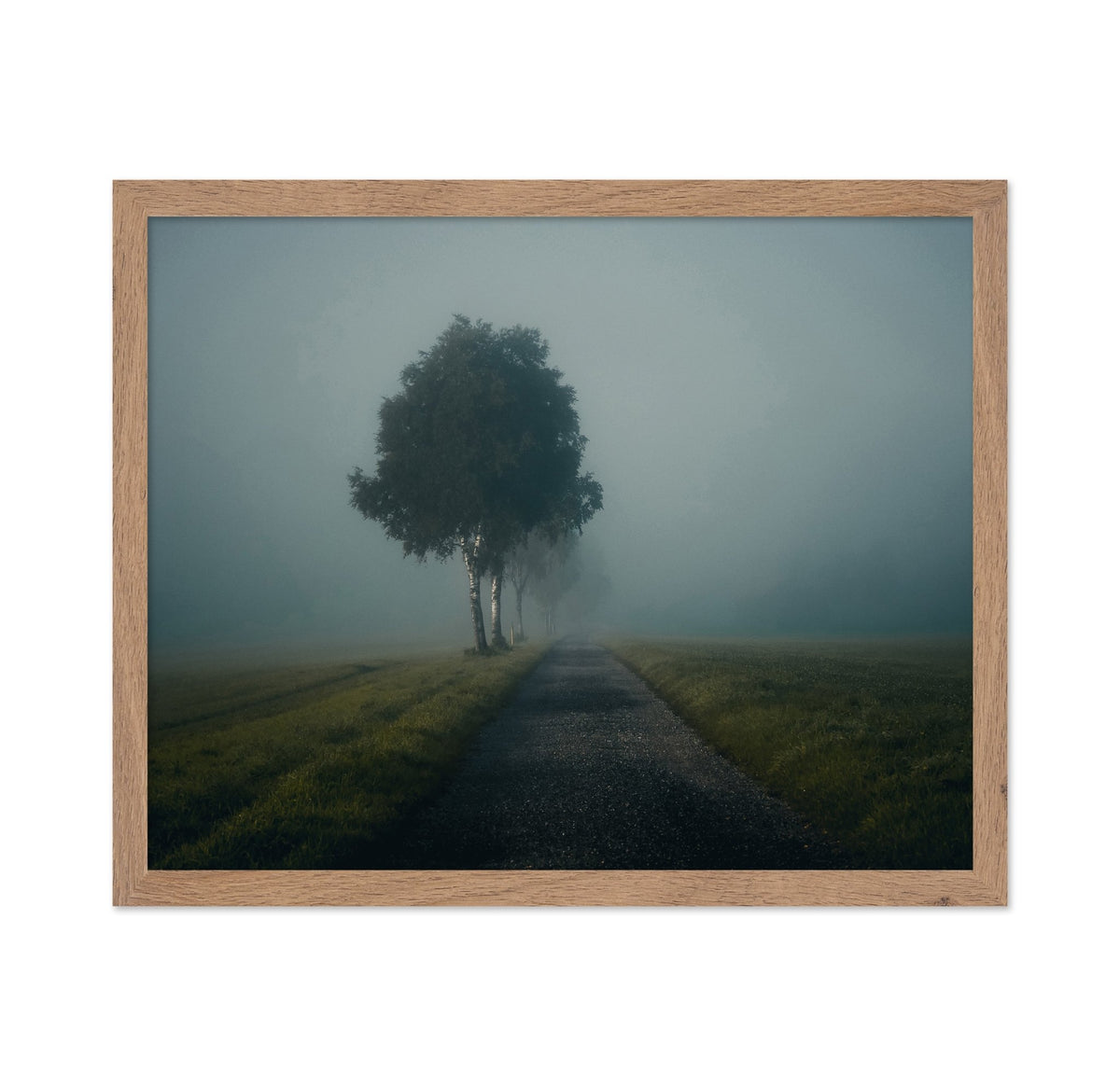 Misty Autumn Road
