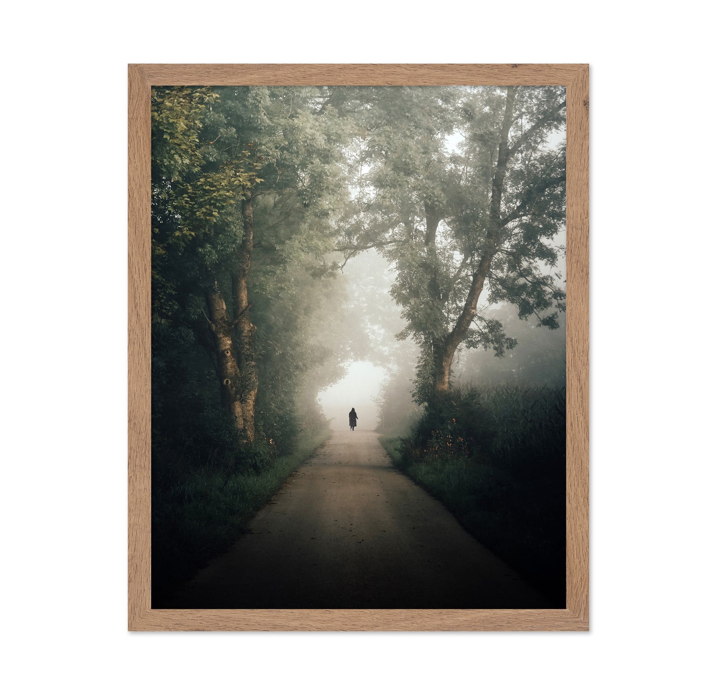 Lone Walk Through Mist