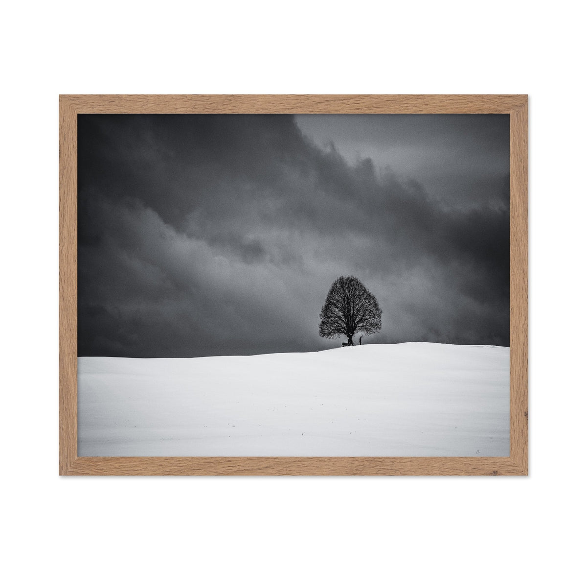 Solitary Winter Tree