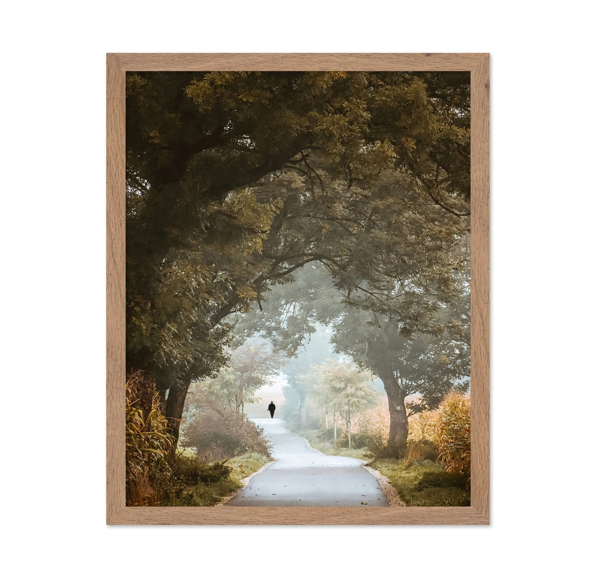Autumn Forest Path No1