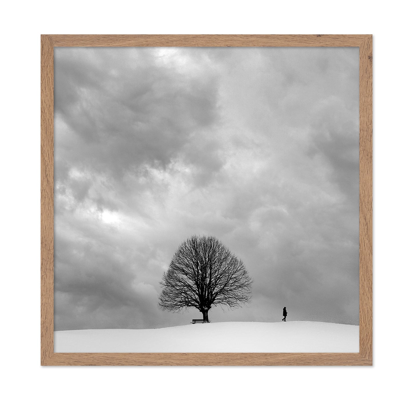 Winter Walk Alone