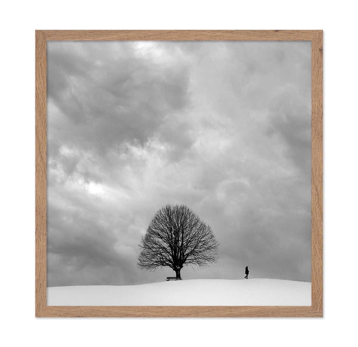 Winter Walk Alone