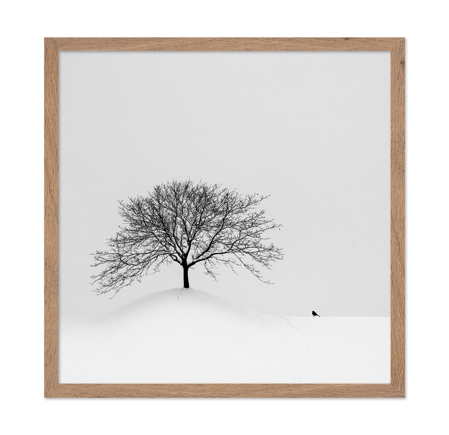 Lone Tree and Bird