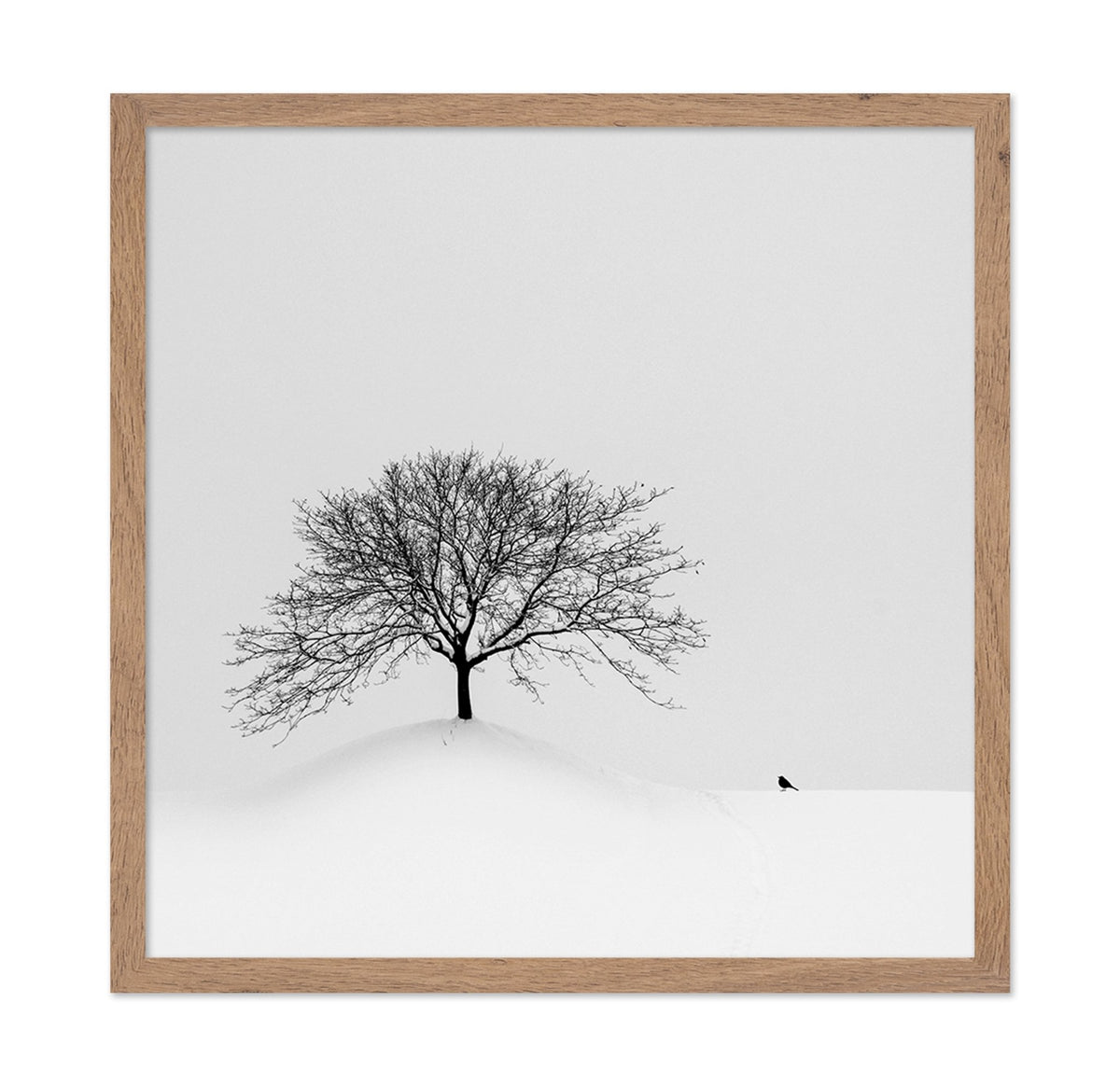 Lone Tree and Bird