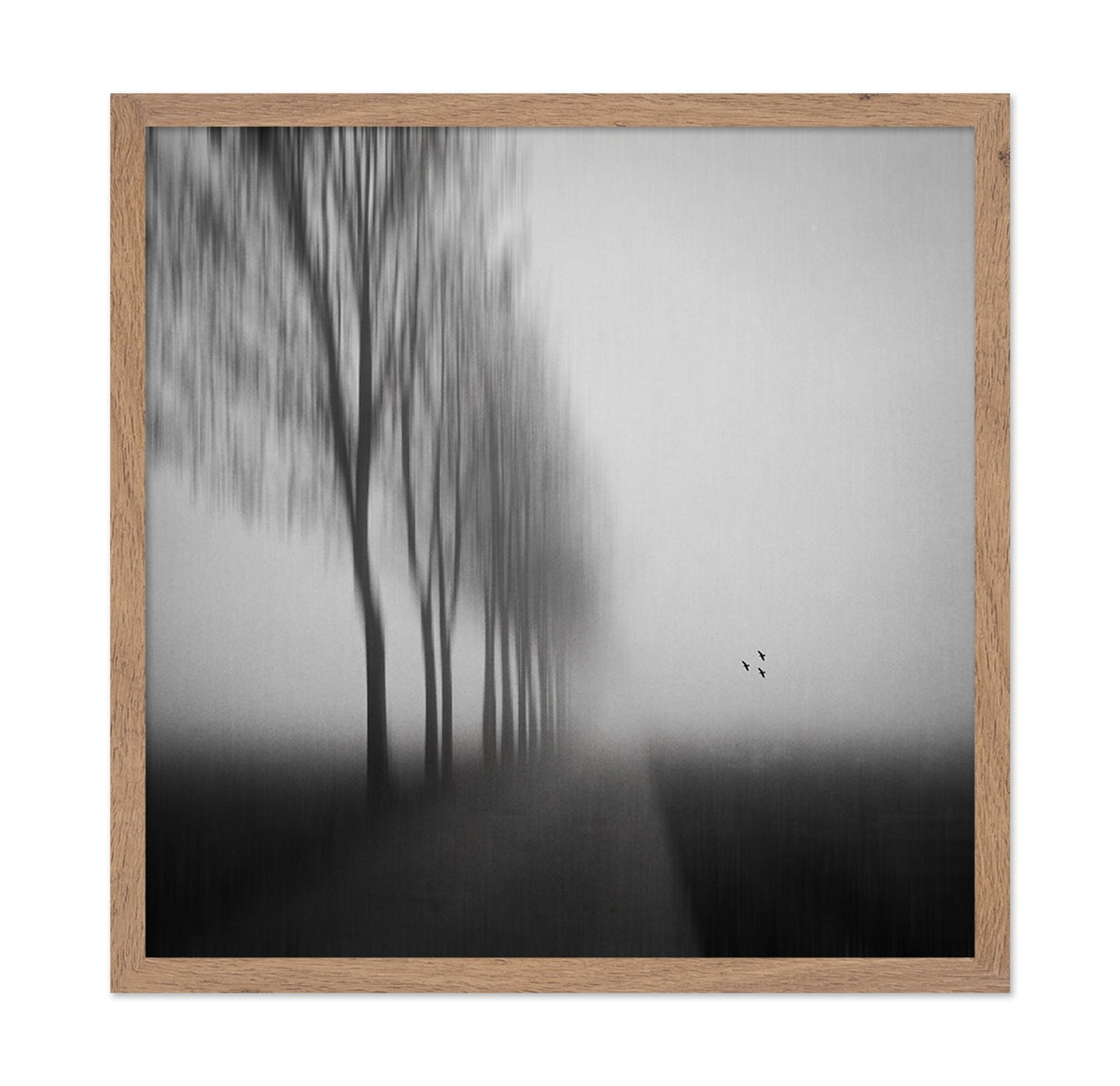 Misty Autumn Silence