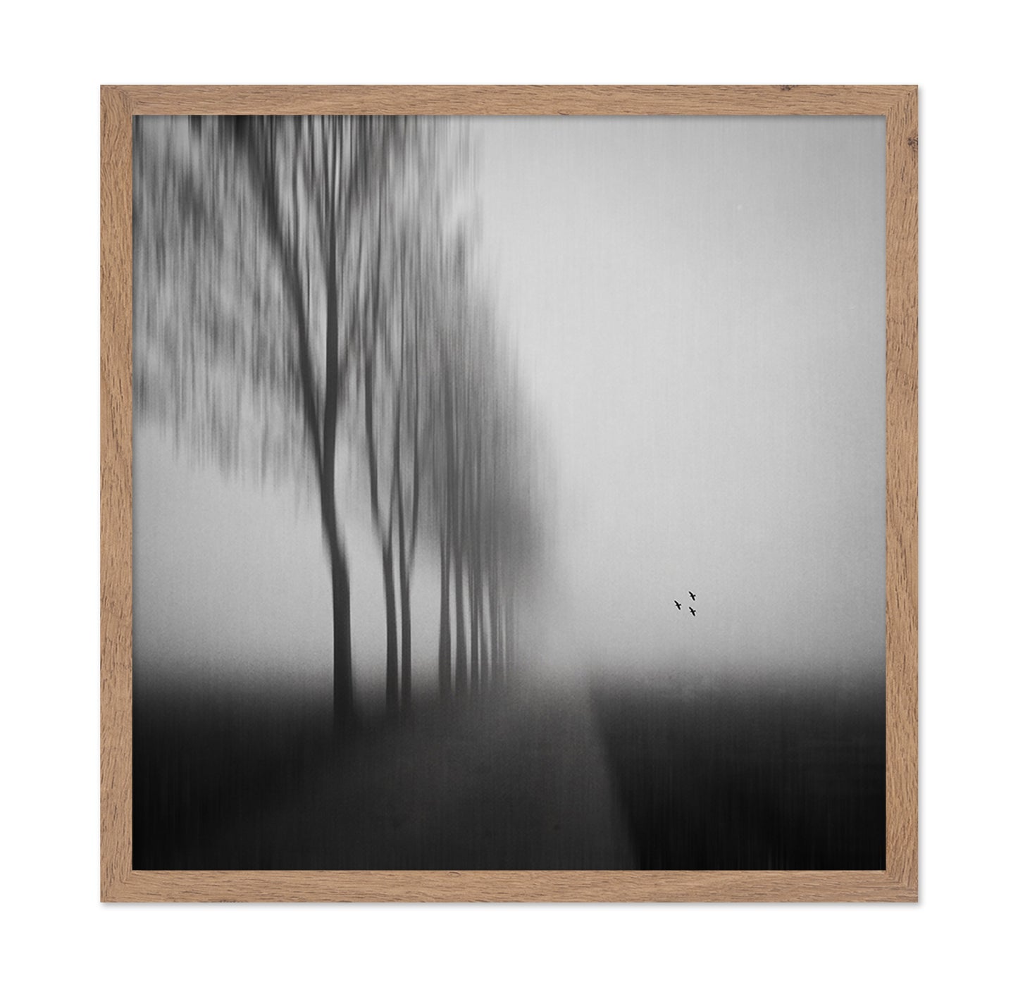 Misty Autumn Silence
