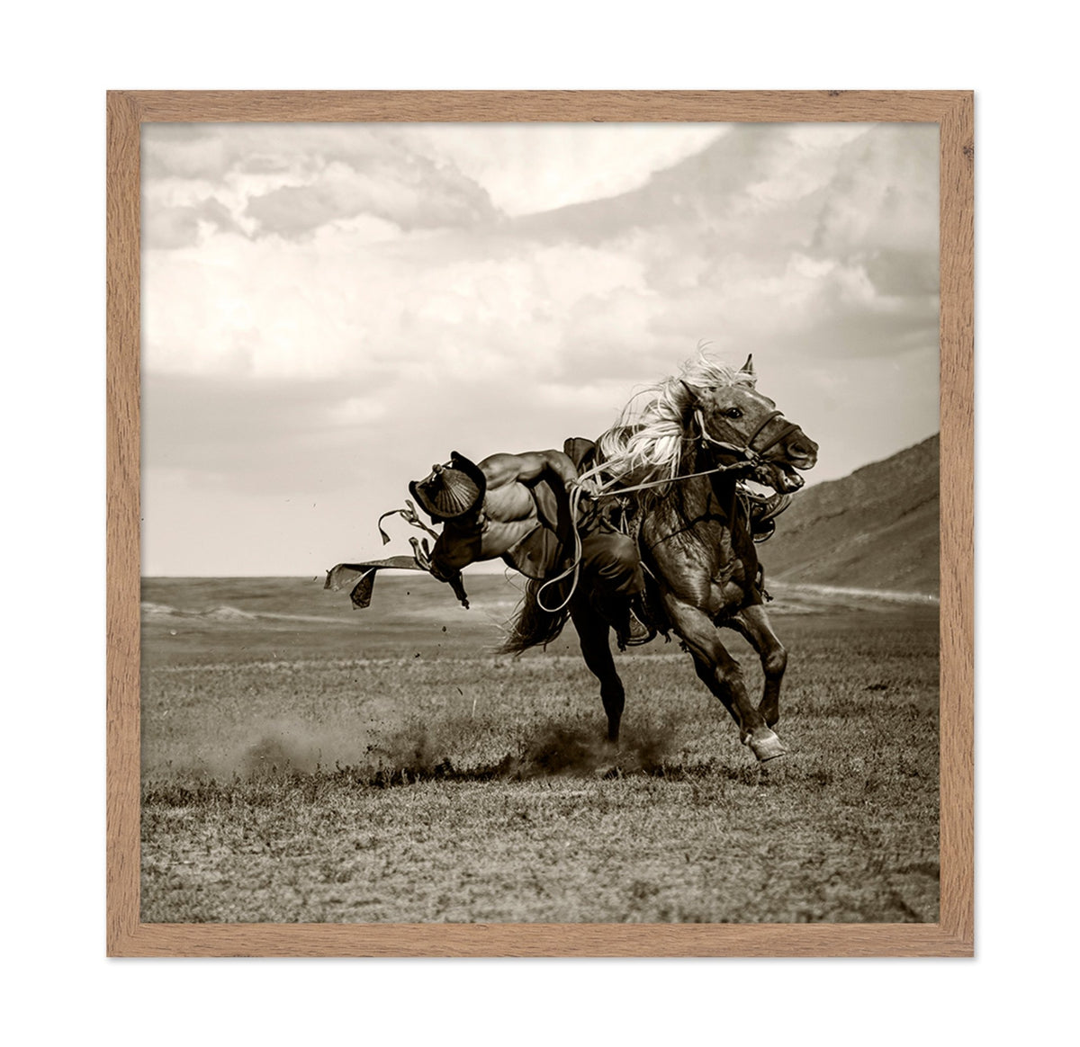 Wild Gallop