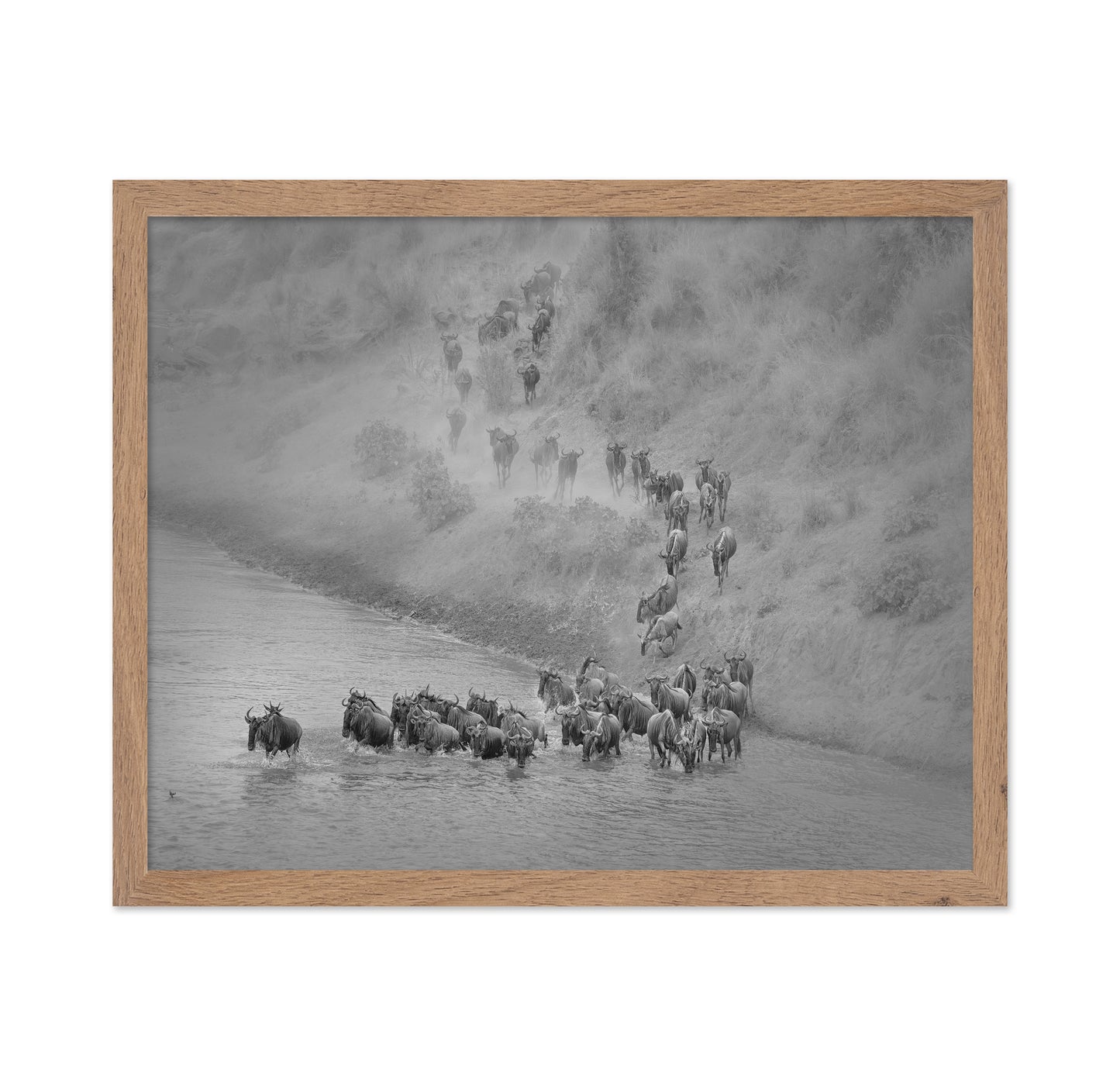 Wildebeest Crossing