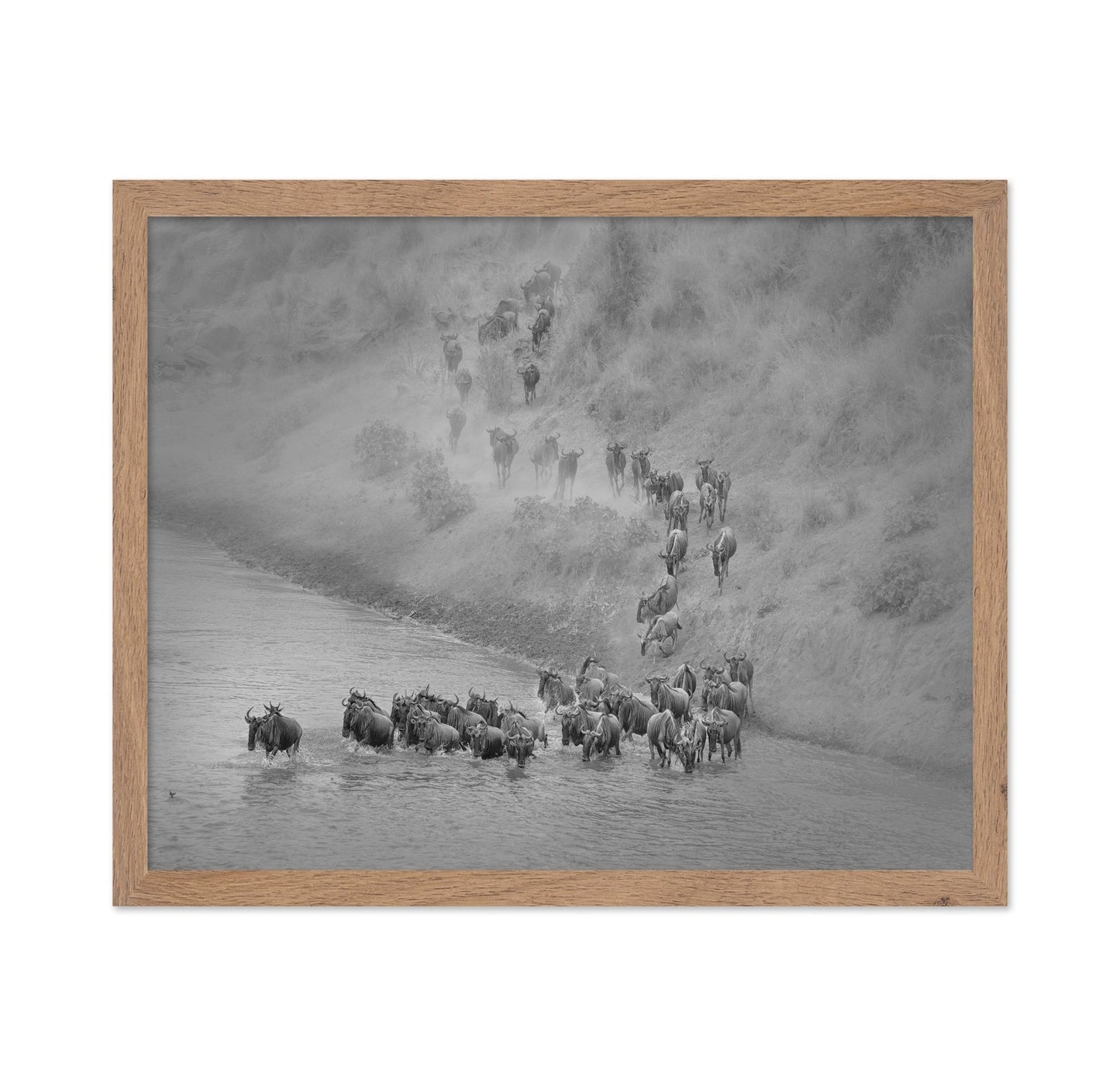 Wildebeest Crossing