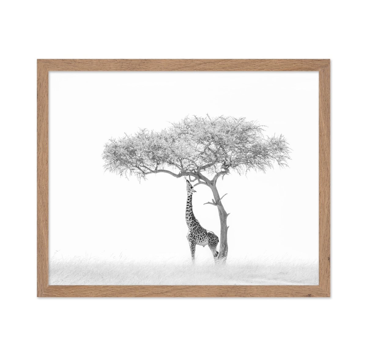Giraffe Tree