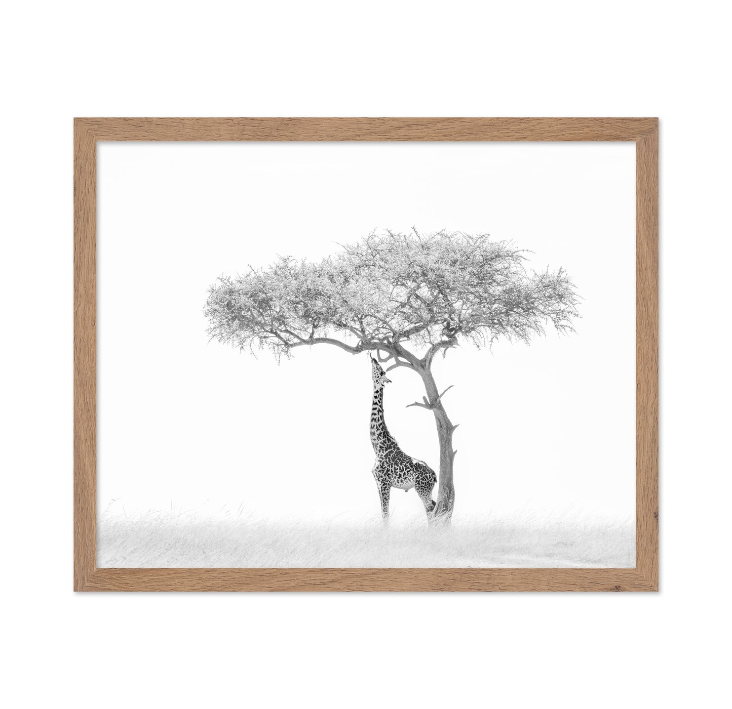 Giraffe Tree