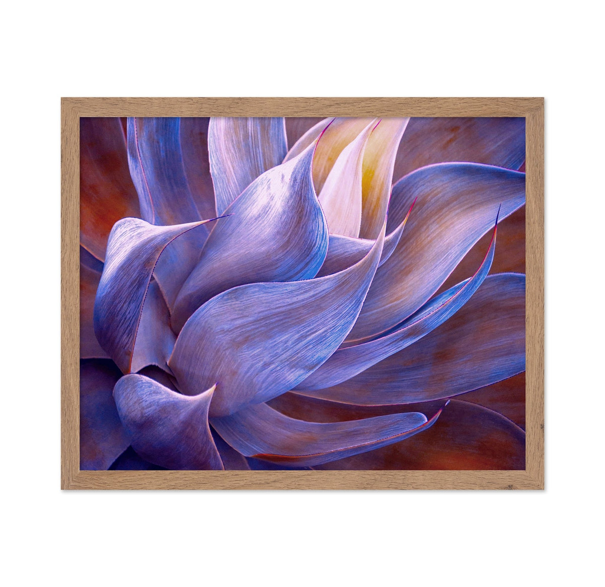 Violet Agave Abstract
