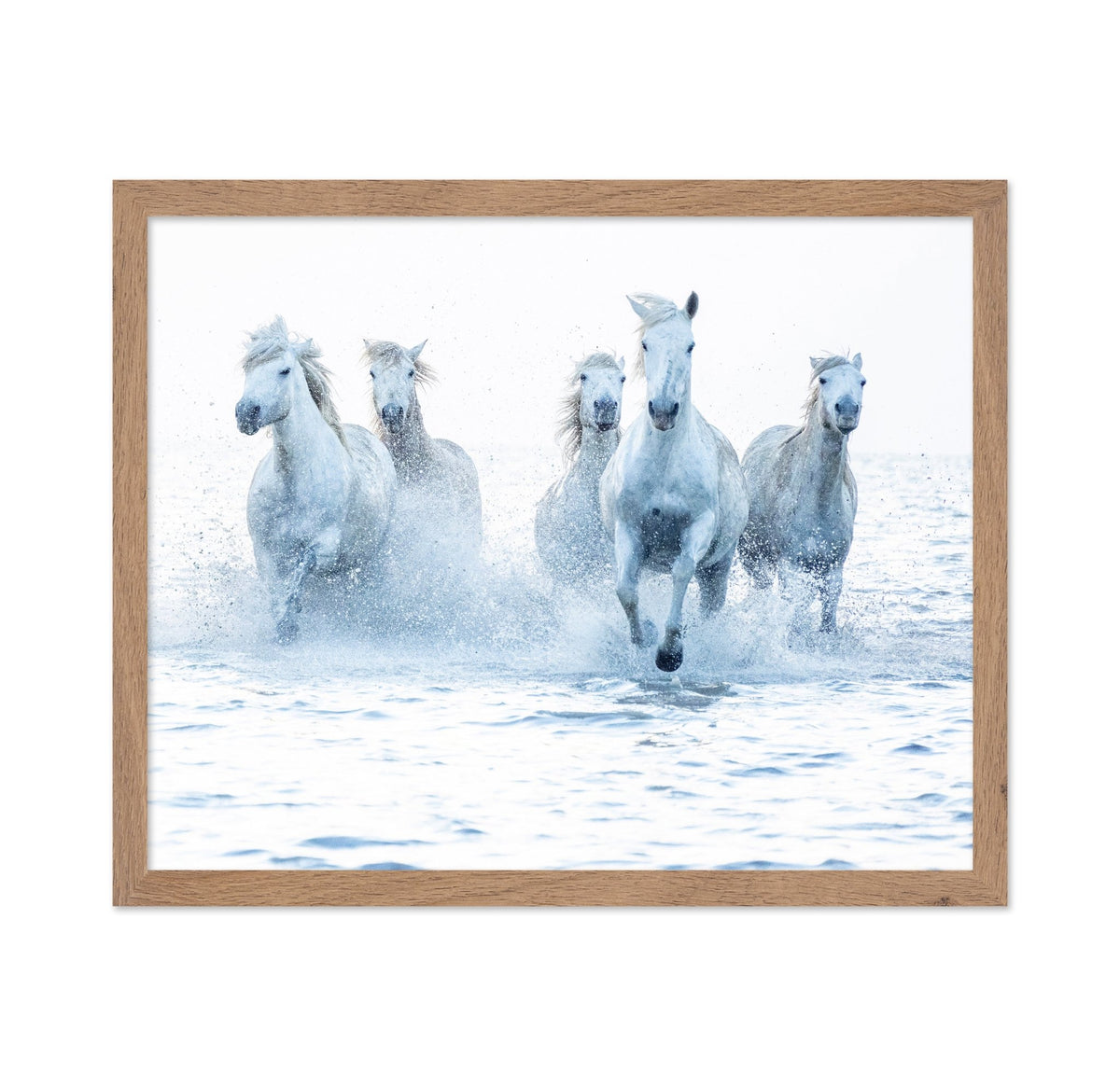 Wild Horses Running