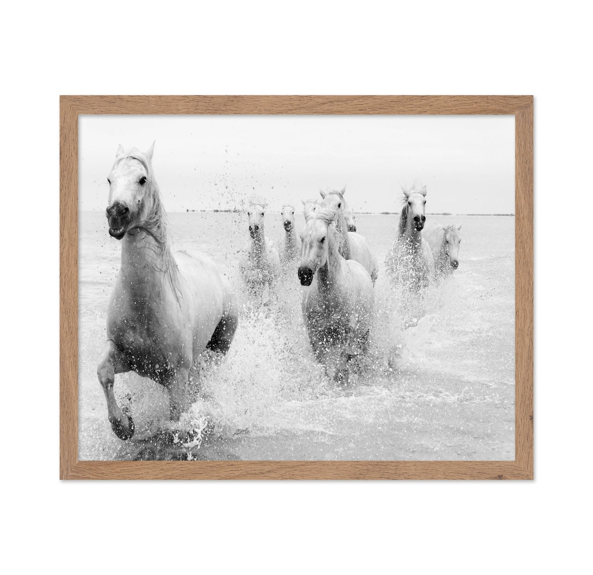 Horses Charging