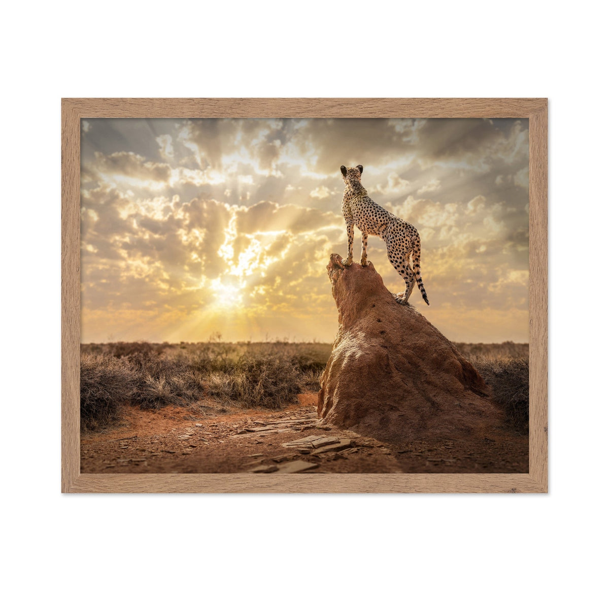 Cheetah Sunset Watch