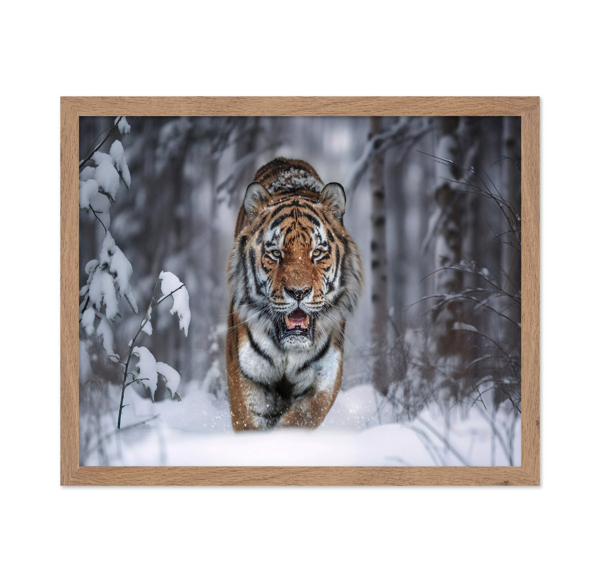 Tiger In Snow