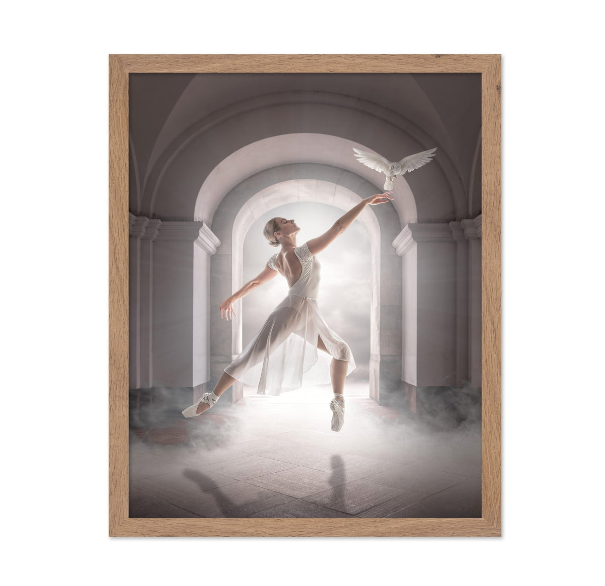 Ballet Dove Dance