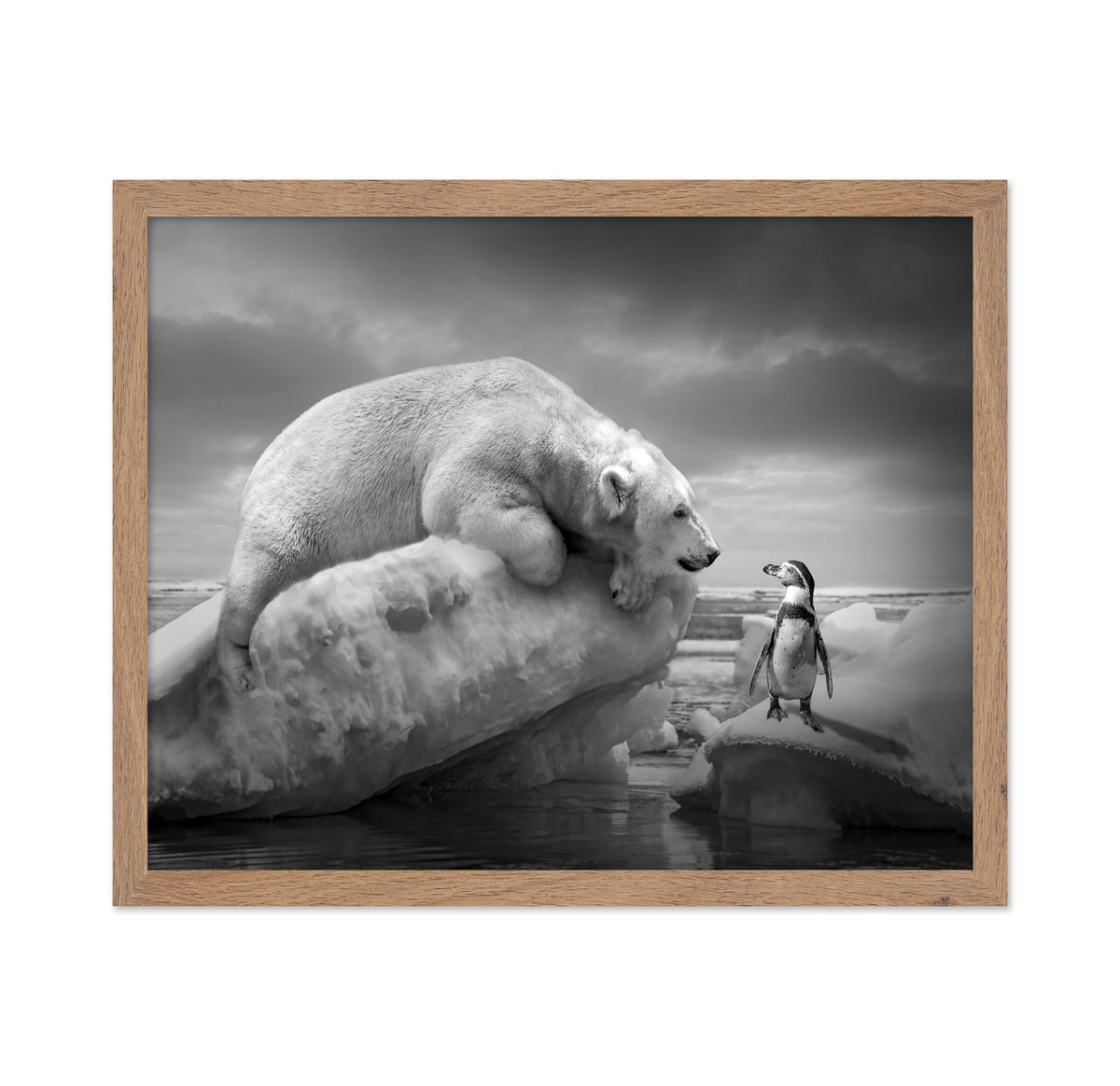 Polar Bear and Penguin