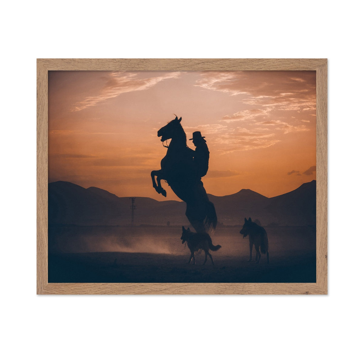 Rearing Horse Sunset