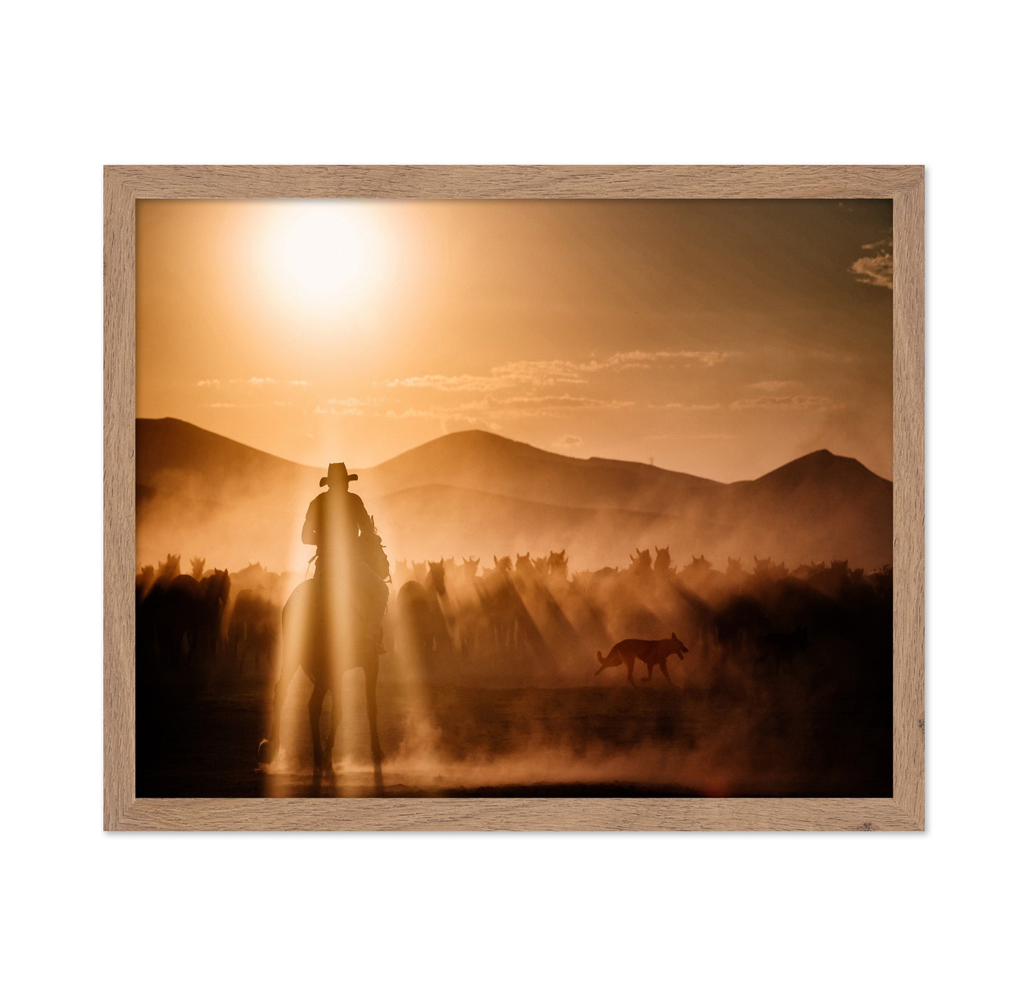 Cowboy Herd Sunset No1