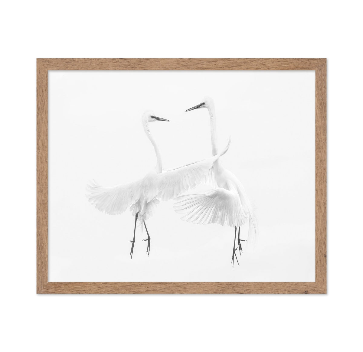 Ethereal Egret Dance