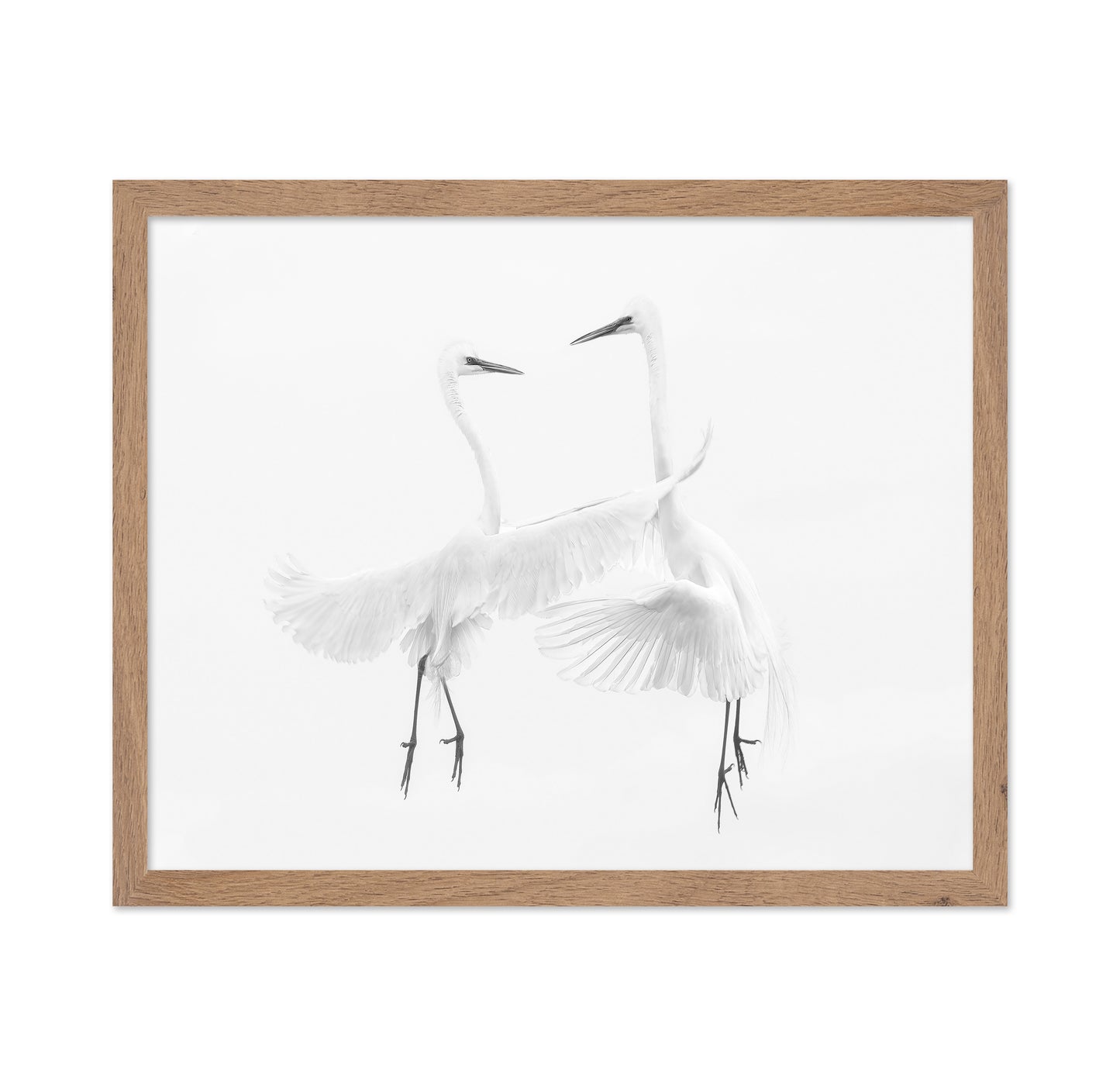 Ethereal Egret Dance