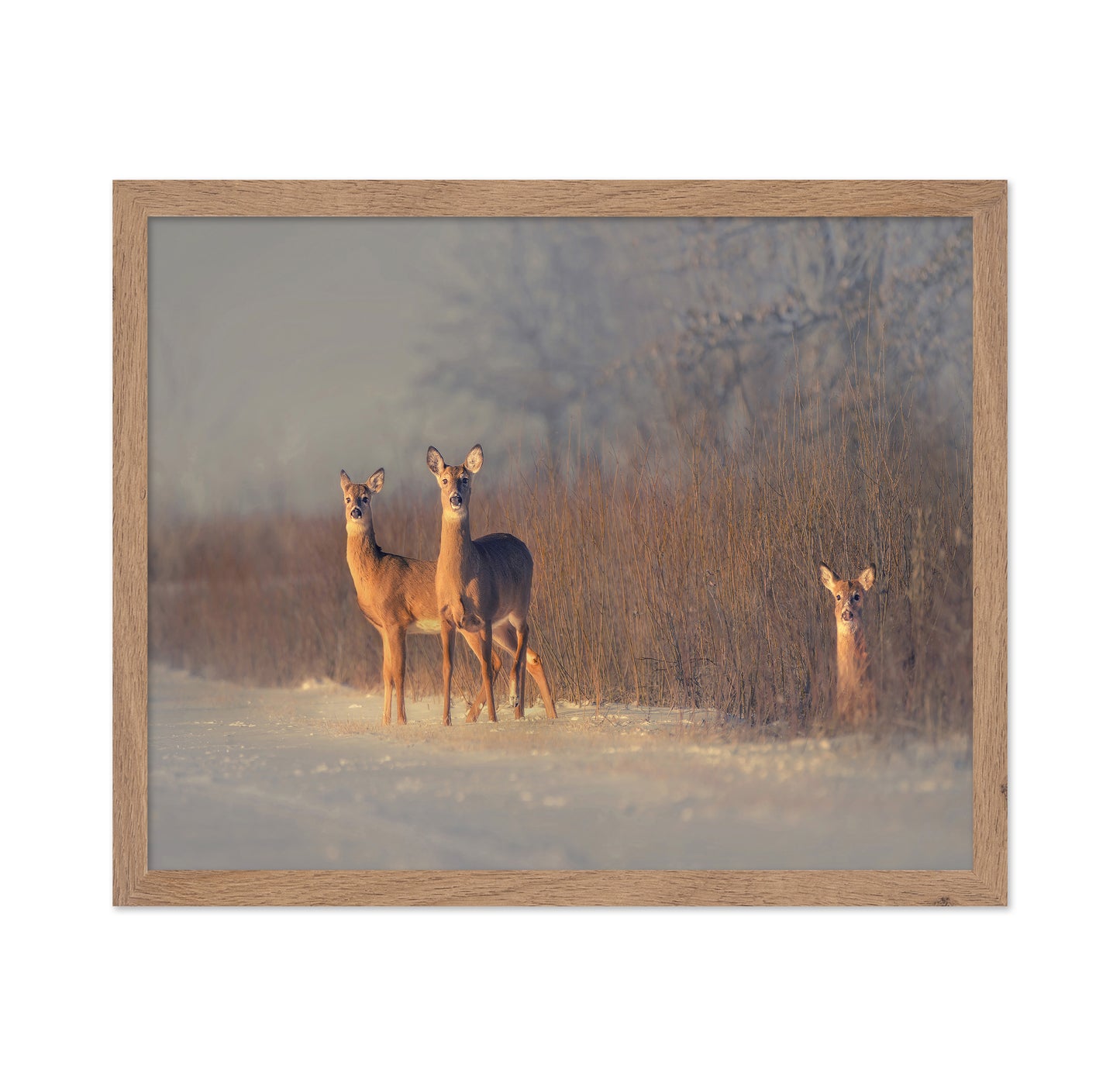 Winter Deer Trio