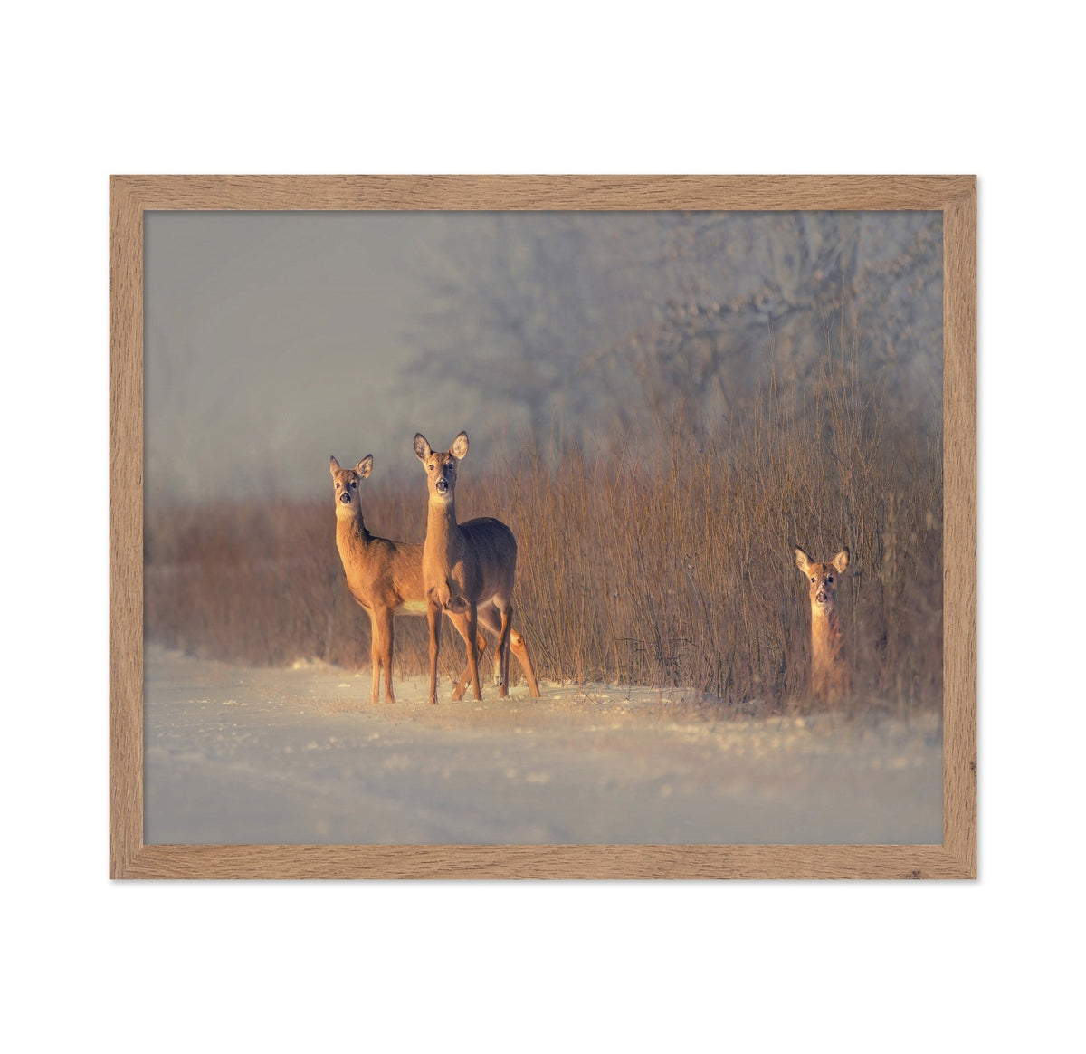 Winter Deer Trio