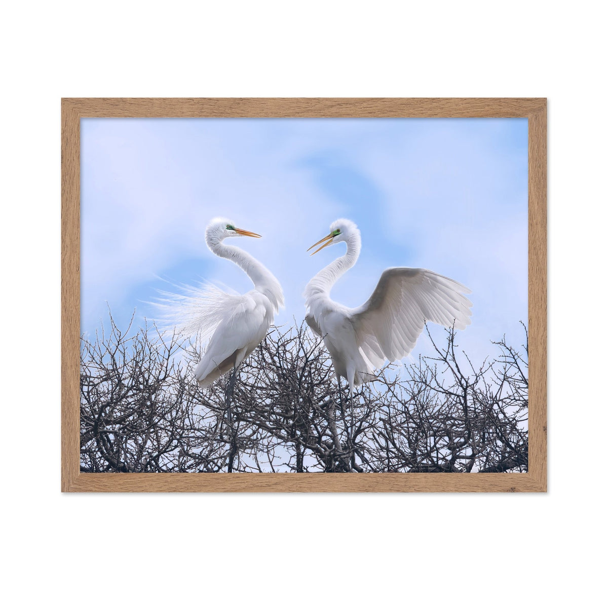 Egret Heart Pair