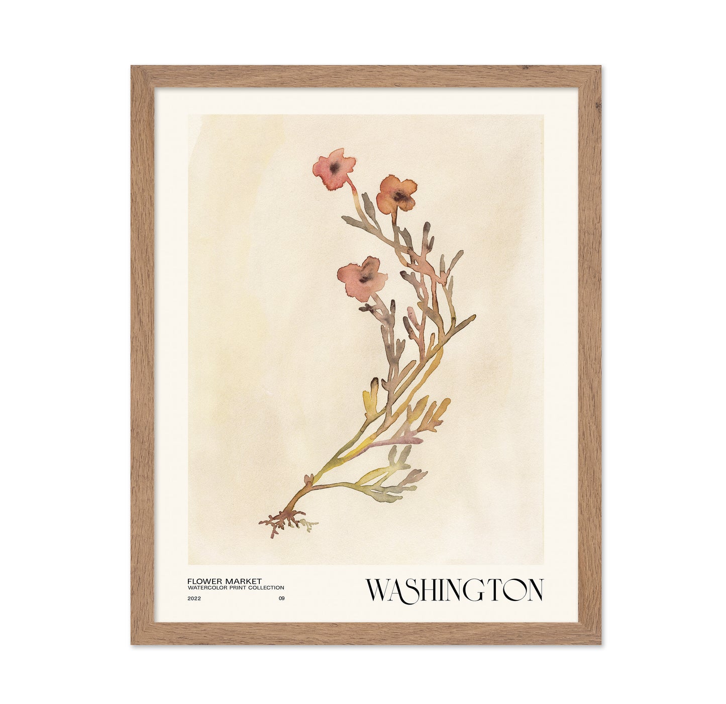 Washington Flower Market