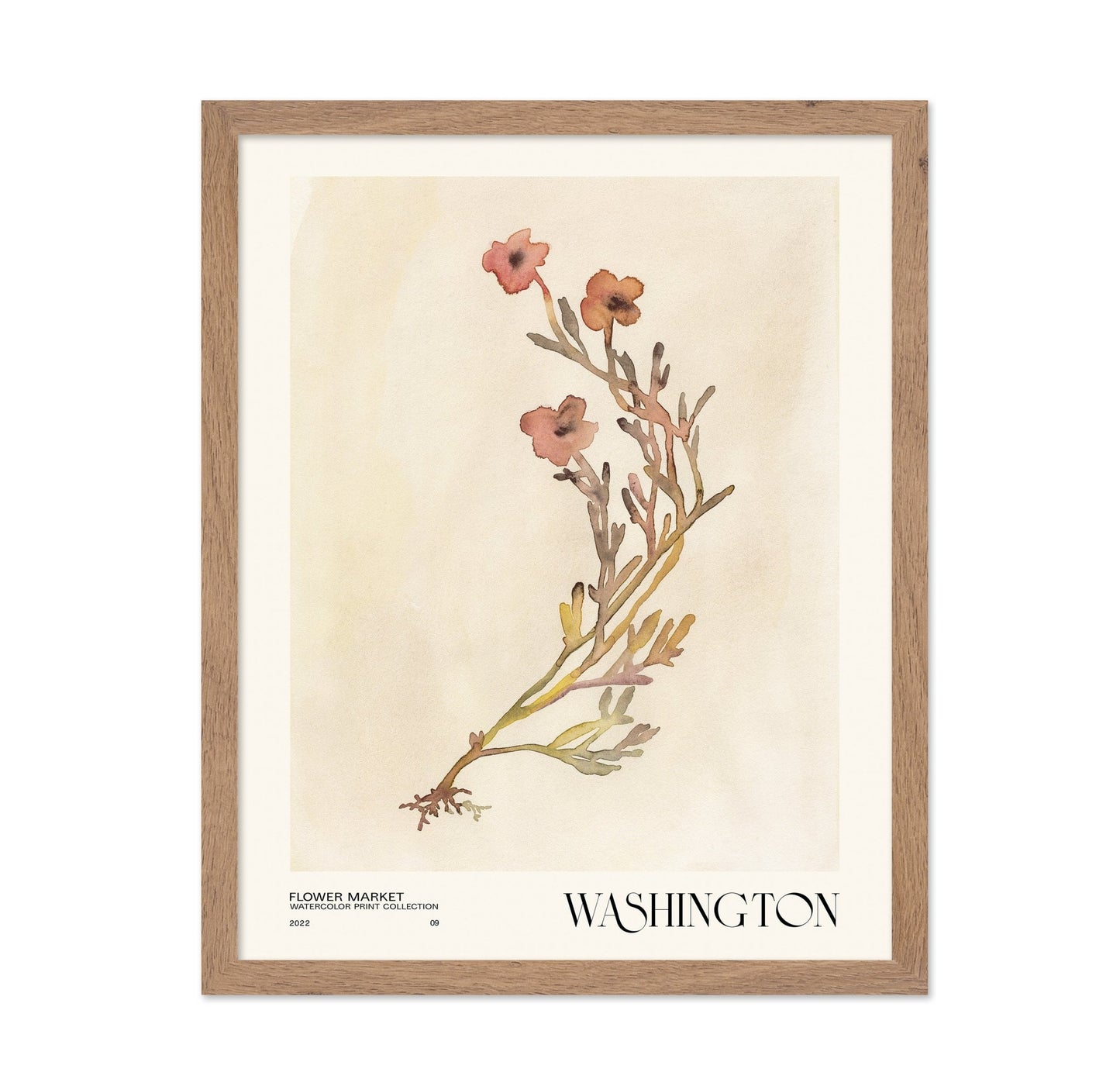 Washington Flower Market